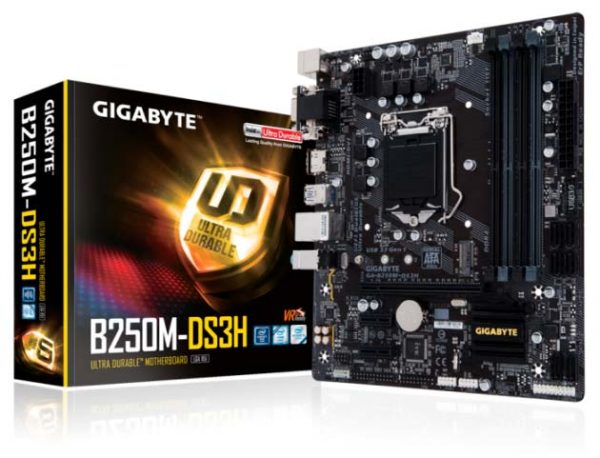 Motherboard GIGABYTE GA-B250M-DS3H, LGA1151